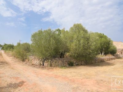 Renovierungsobjekt auf 36.000 m²  Ideal für Pferdehaltung