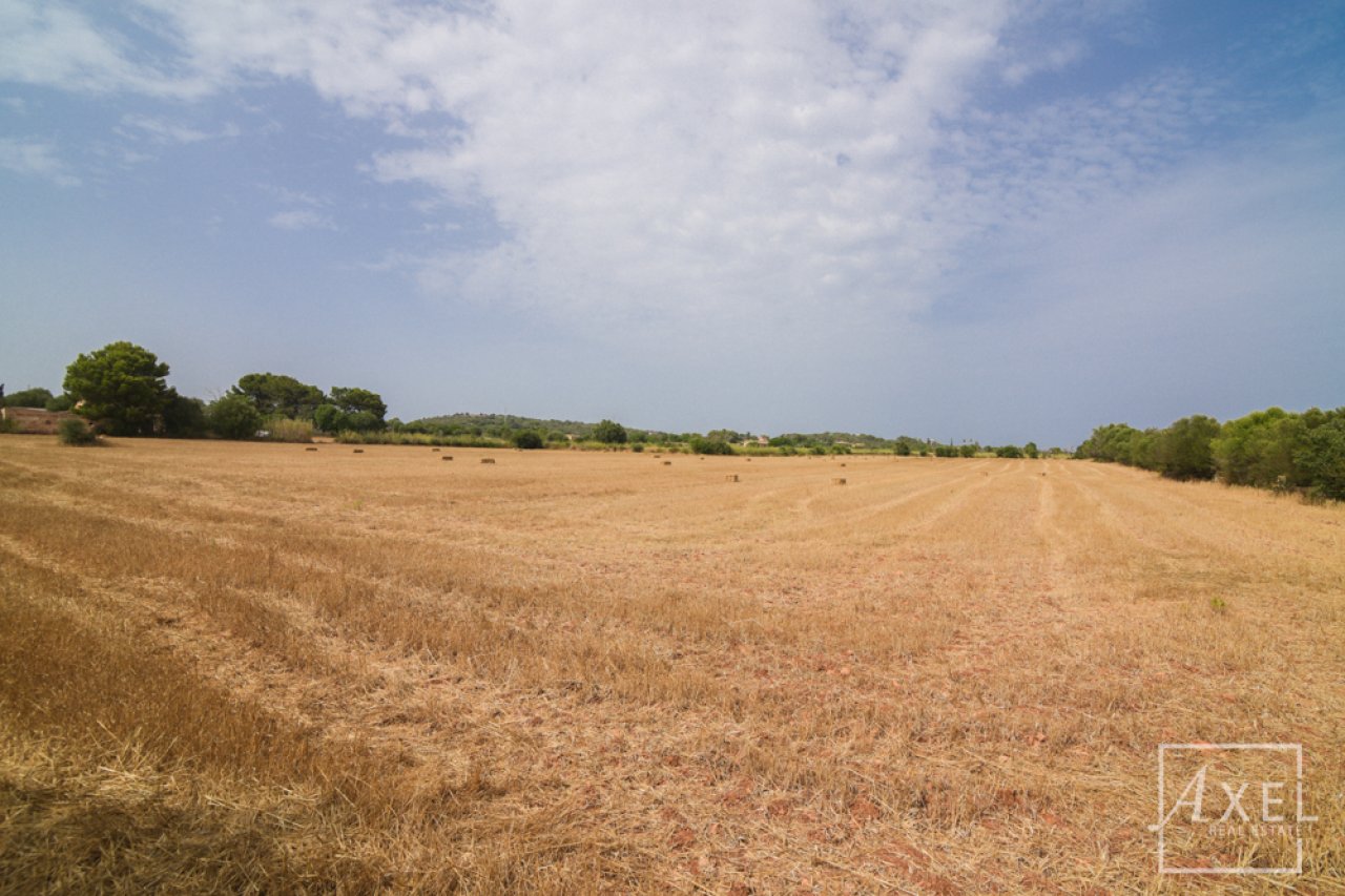Renovierungsobjekt auf 36.000 m²  Ideal für Pferdehaltung