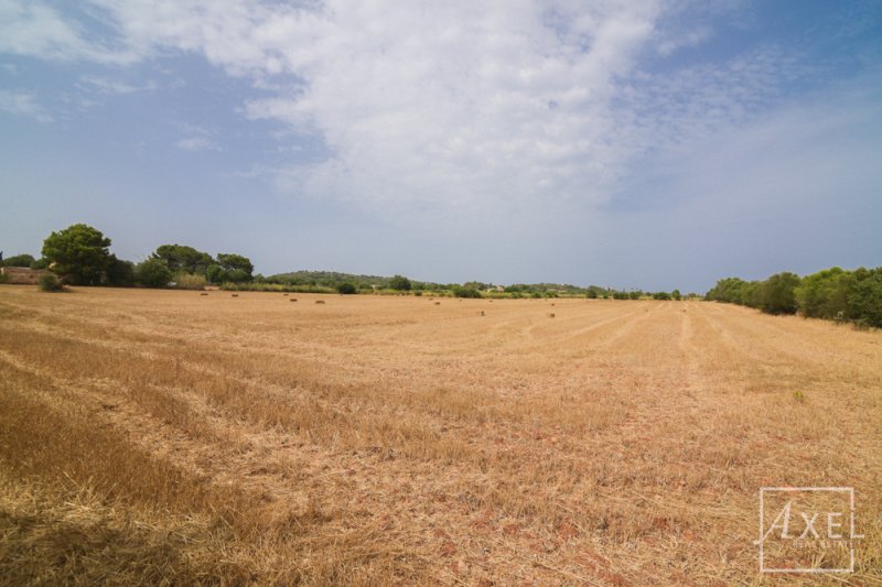 Renovierungsobjekt auf 36.000 m²  Ideal für Pferdehaltung
