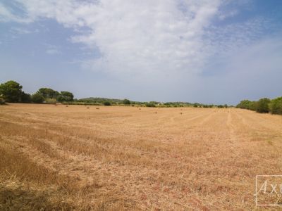 Renovierungsobjekt auf 36.000 m²  Ideal für Pferdehaltung