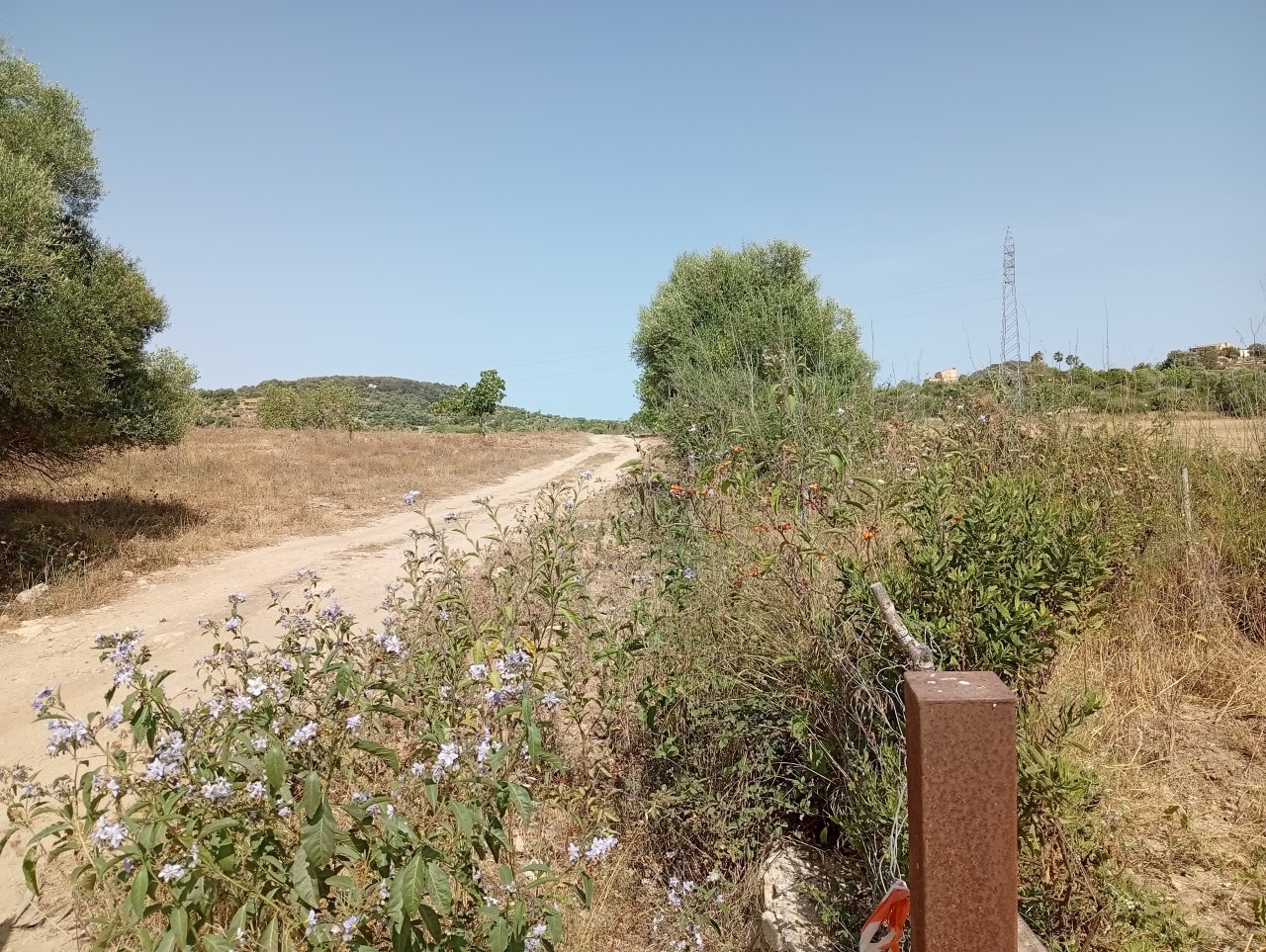 Rohbau zu Verkaufen Sant Lorenzo