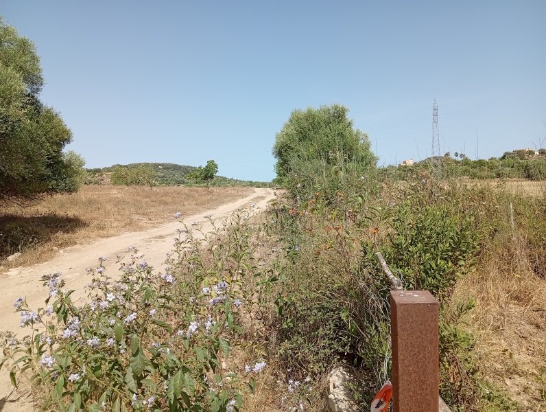 Rohbau zu Verkaufen Sant Lorenzo