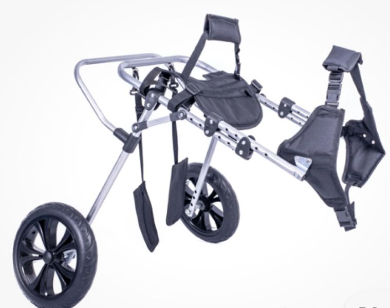 Wheelchair for large dogs