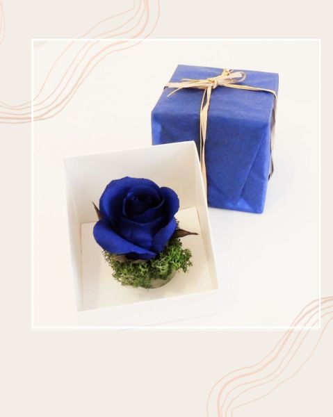 Rosa papel crepé en caja de regalo, varios colores