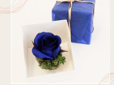 Rosa papel crepé en caja de regalo, varios colores