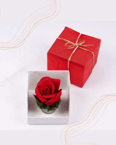 Rosa papel crepé en caja de regalo, varios colores