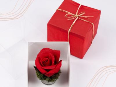 Rosa papel crepé en caja de regalo, varios colores