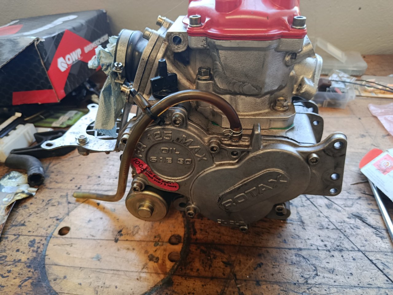Rotax Junior Motor