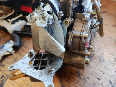 Rotax Junior Motor