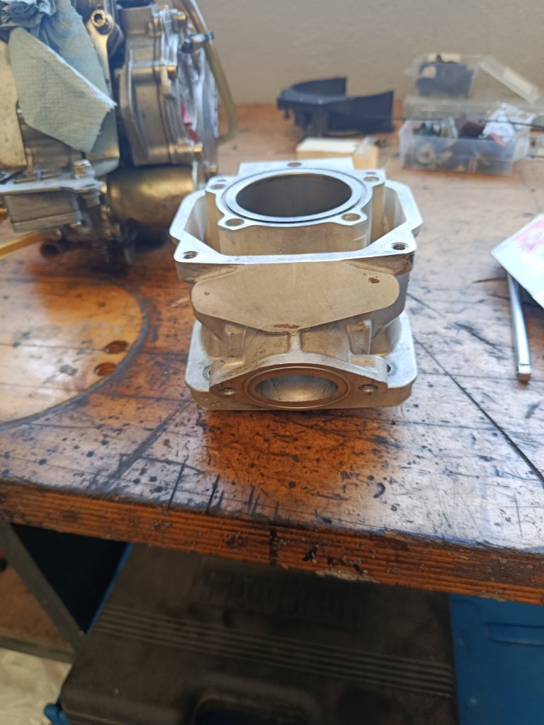 Rotax Junior Zylinder Iame X30