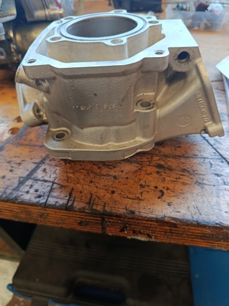 Rotax Junior Zylinder Iame X30