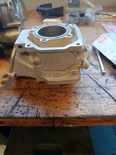 Rotax Junior Zylinder Iame X30