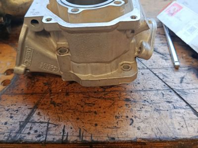 Rotax Junior Zylinder Iame X30