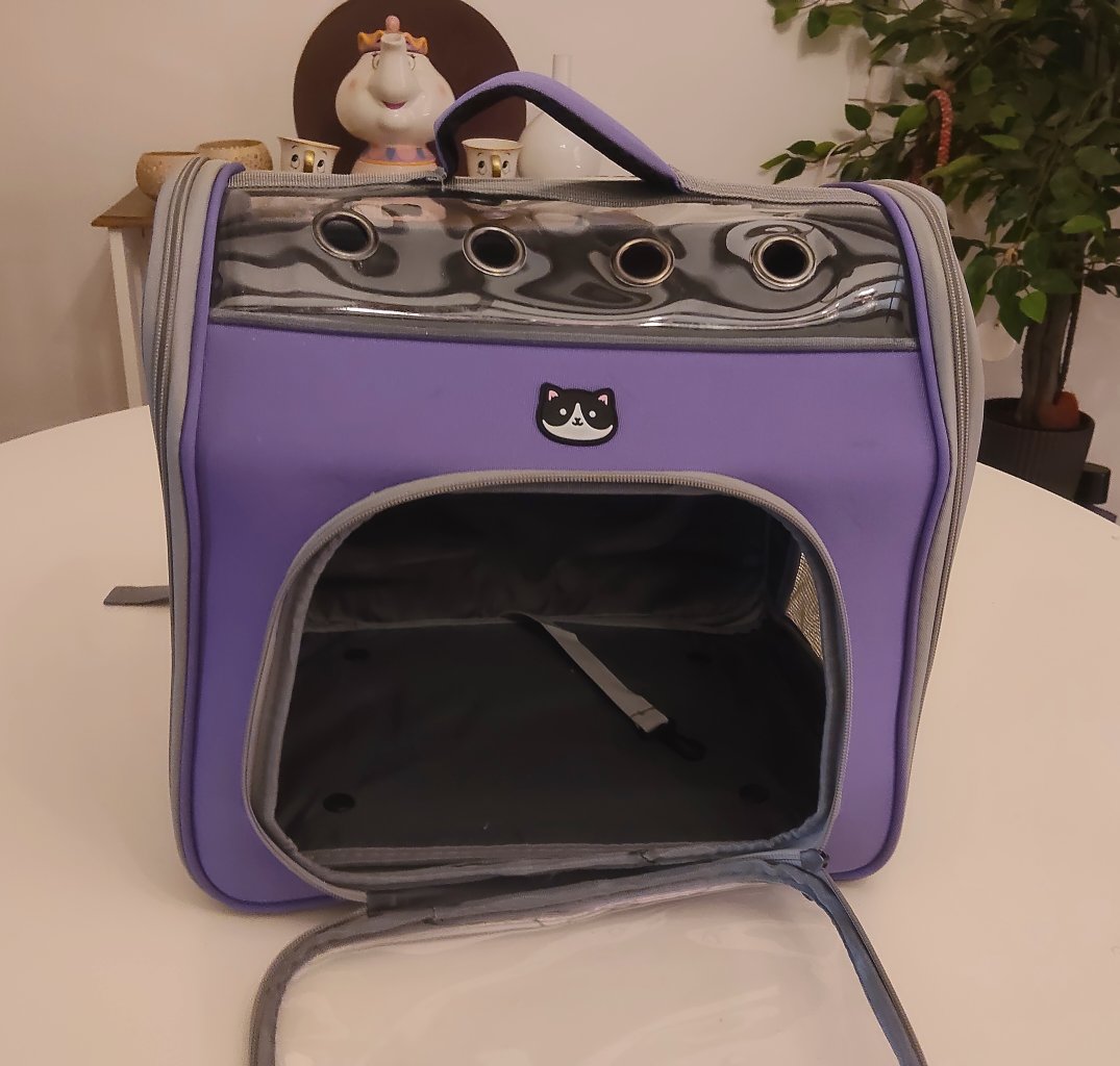Mochila para perros pequeños o gatos