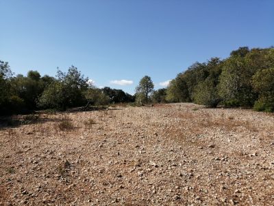 Ruhiges Rustico Grundstück nahe Cas Concos