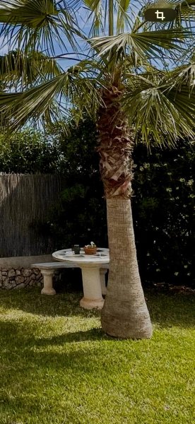 Round stone table with bench