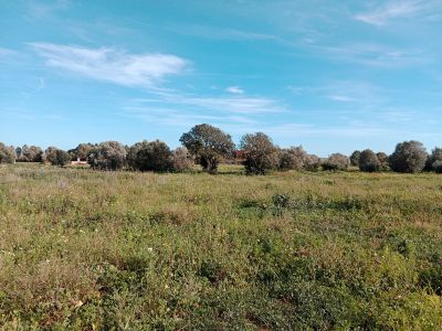 Rustico Grundstück bei Campos