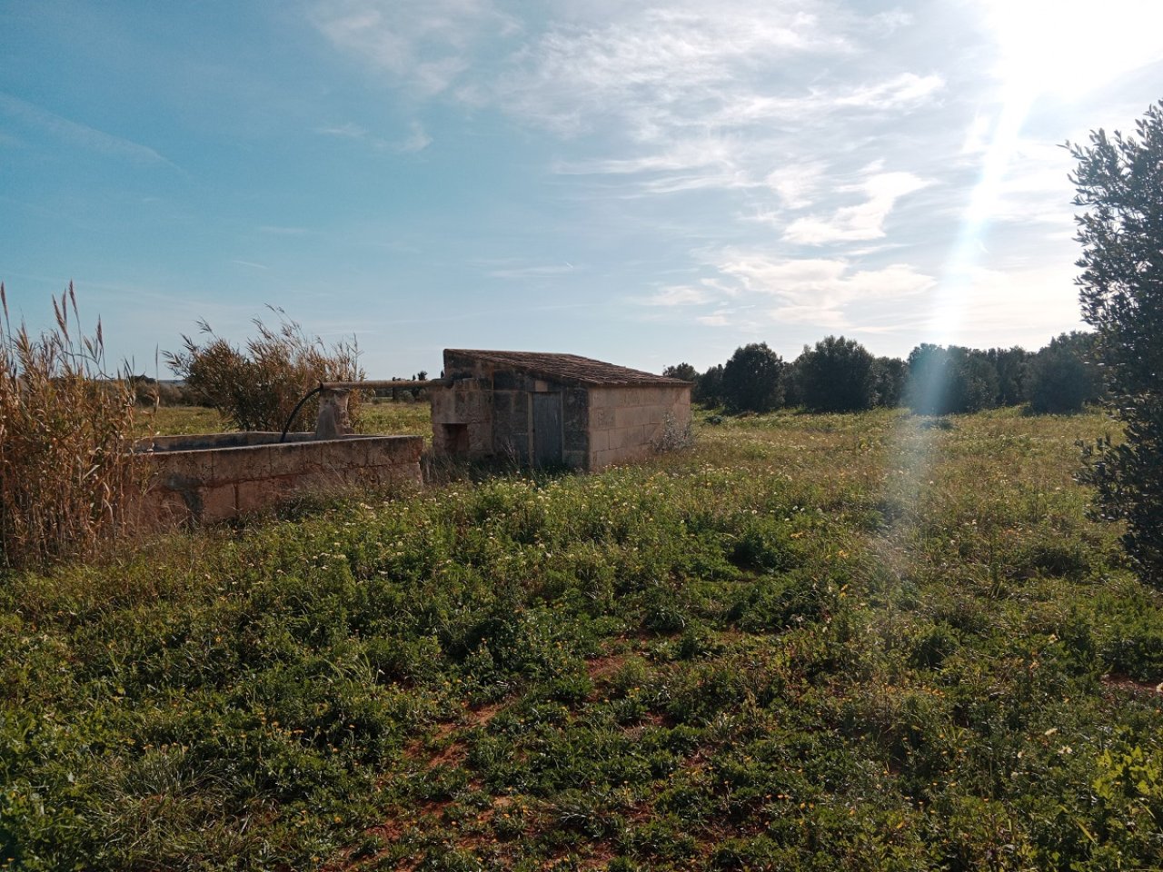 Rustico Grundstück bei Campos