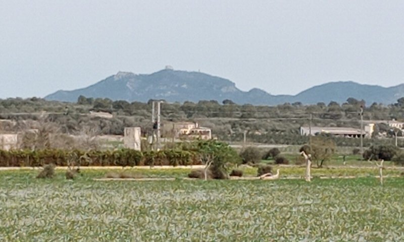 Rustico Grundstück mit Fernblick in der Nähe von Campos