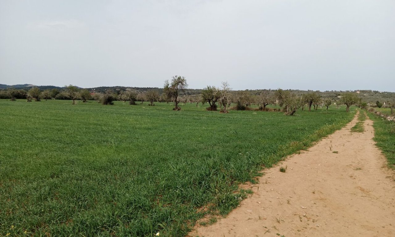 Rustico Grundstück mit Fernblick in der Nähe von Campos