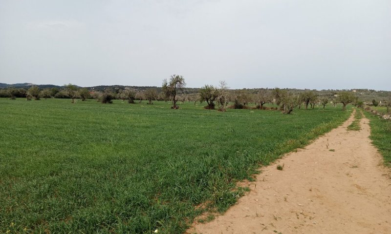 Rustico Grundstück mit Fernblick in der Nähe von Campos