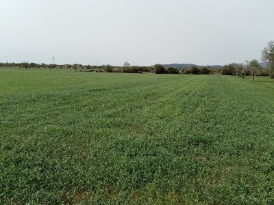 Rustico Grundstück mit Fernblick in der Nähe von Campos
