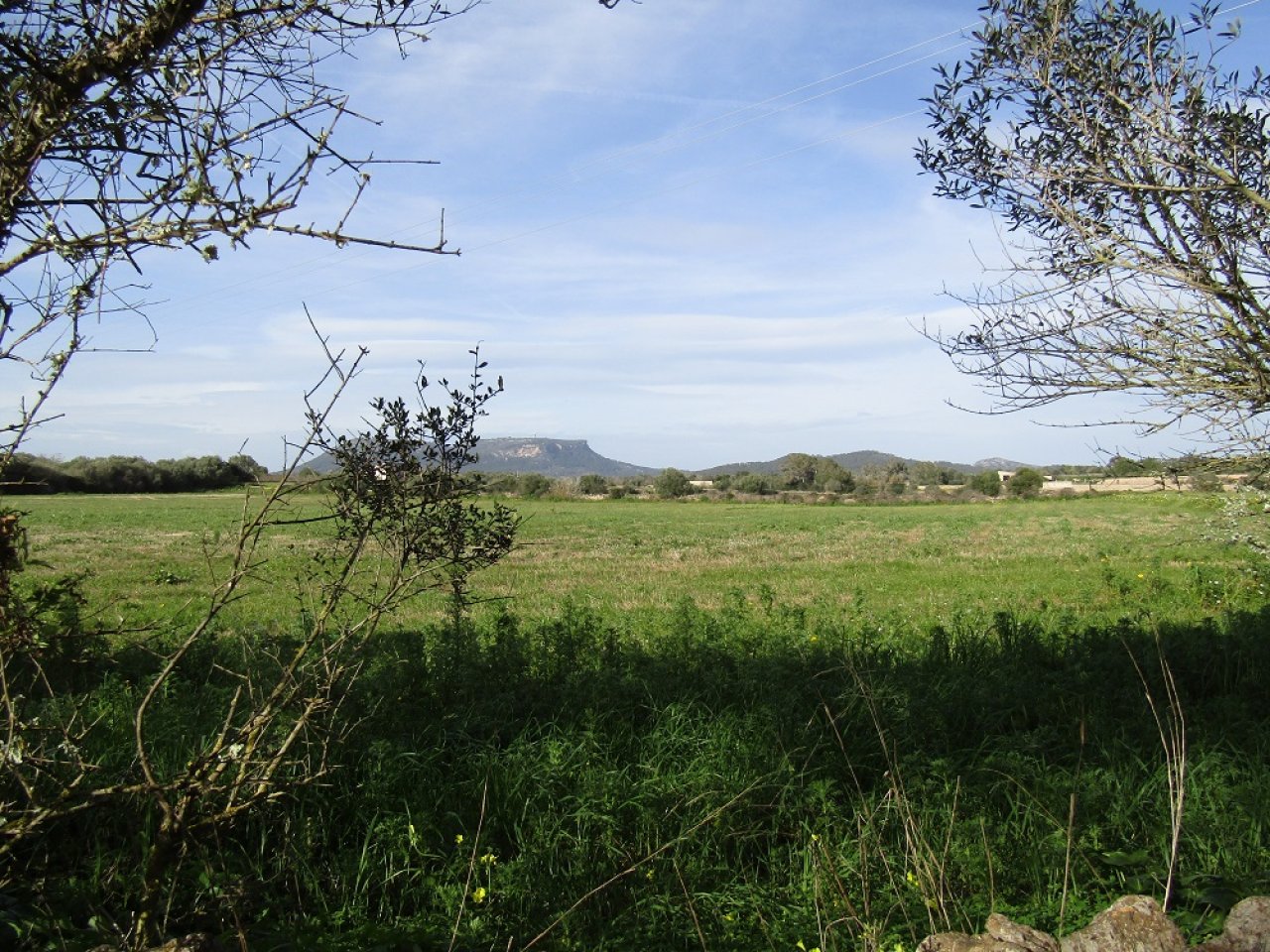Rustico Grundstück mit Traumblick in Llucmajor