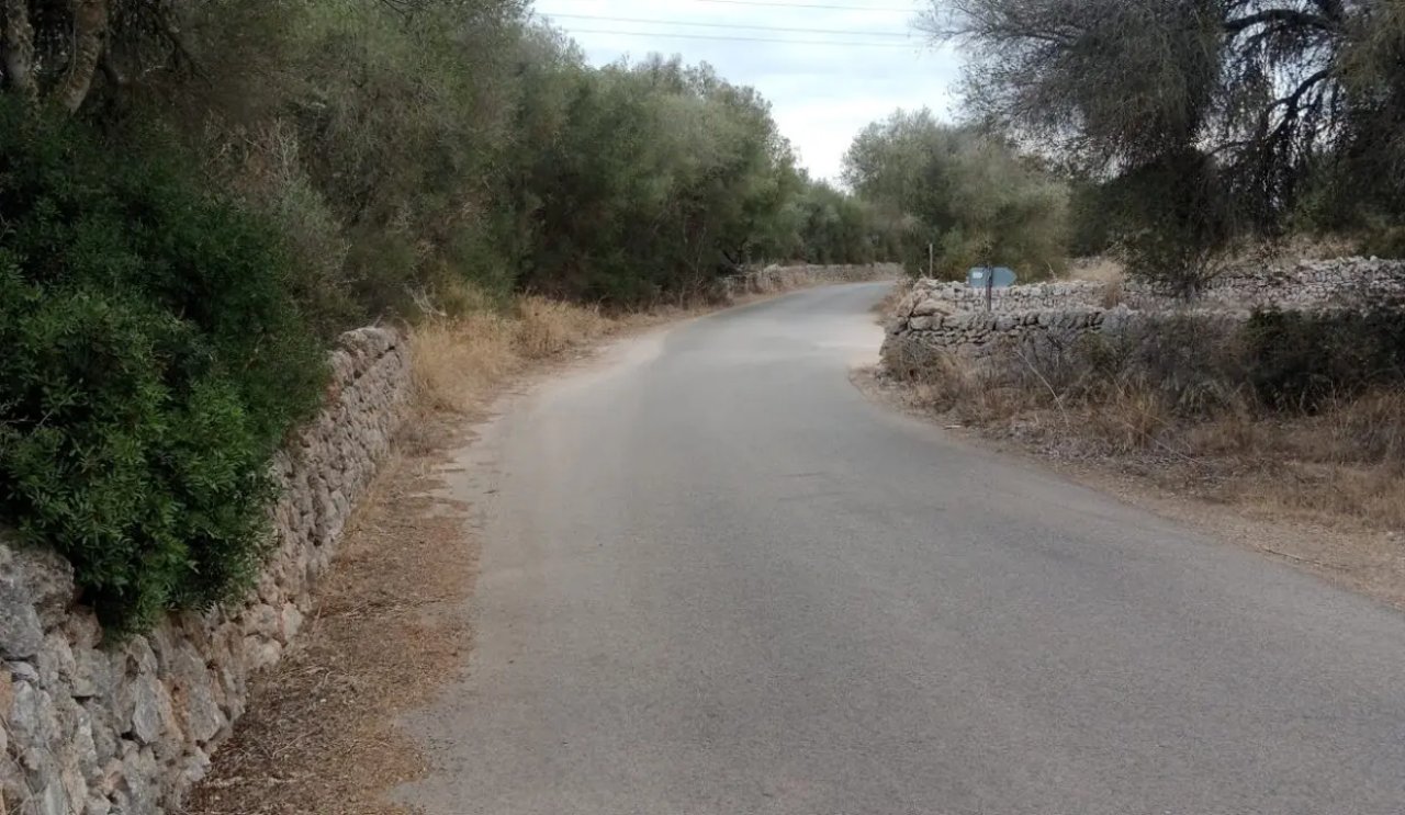 Rustico Grunstück in Ses Salines