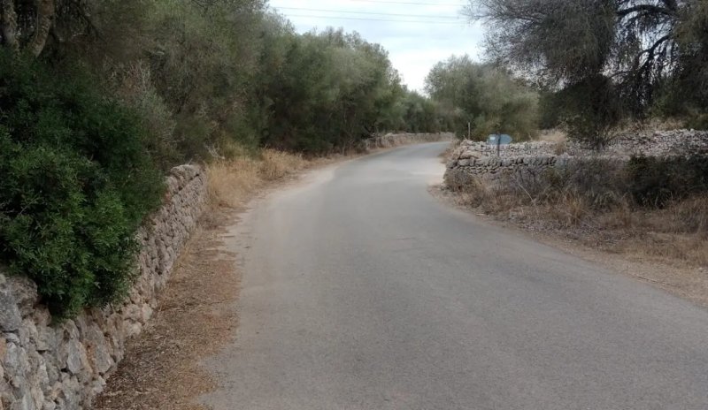 Rustico Grunstück in Ses Salines