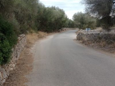 Rustico Grunstück in Ses Salines