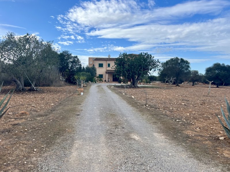 Rustikale Finca 4 Schlafzimmer + 1 externes Zimmer, von s'Alqueria Blanca nach Mondragó