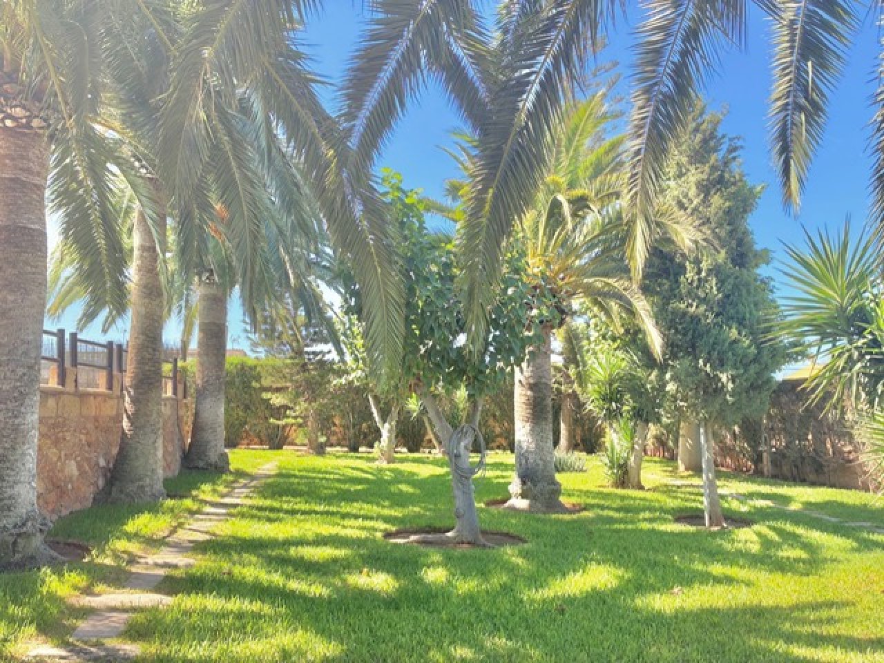 Rustikale Finca in S'Aranjassa mit Pool, Palma