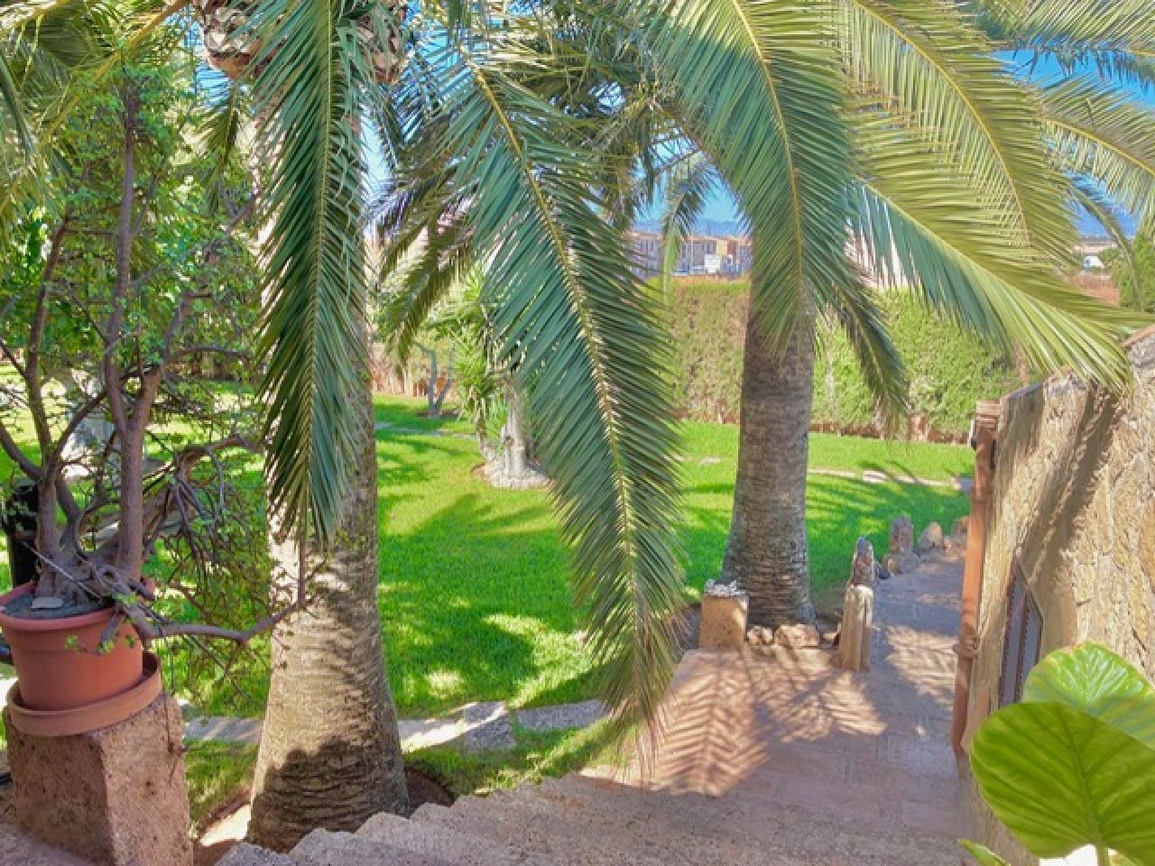 Rustikale Finca in S'Aranjassa mit Pool, Palma