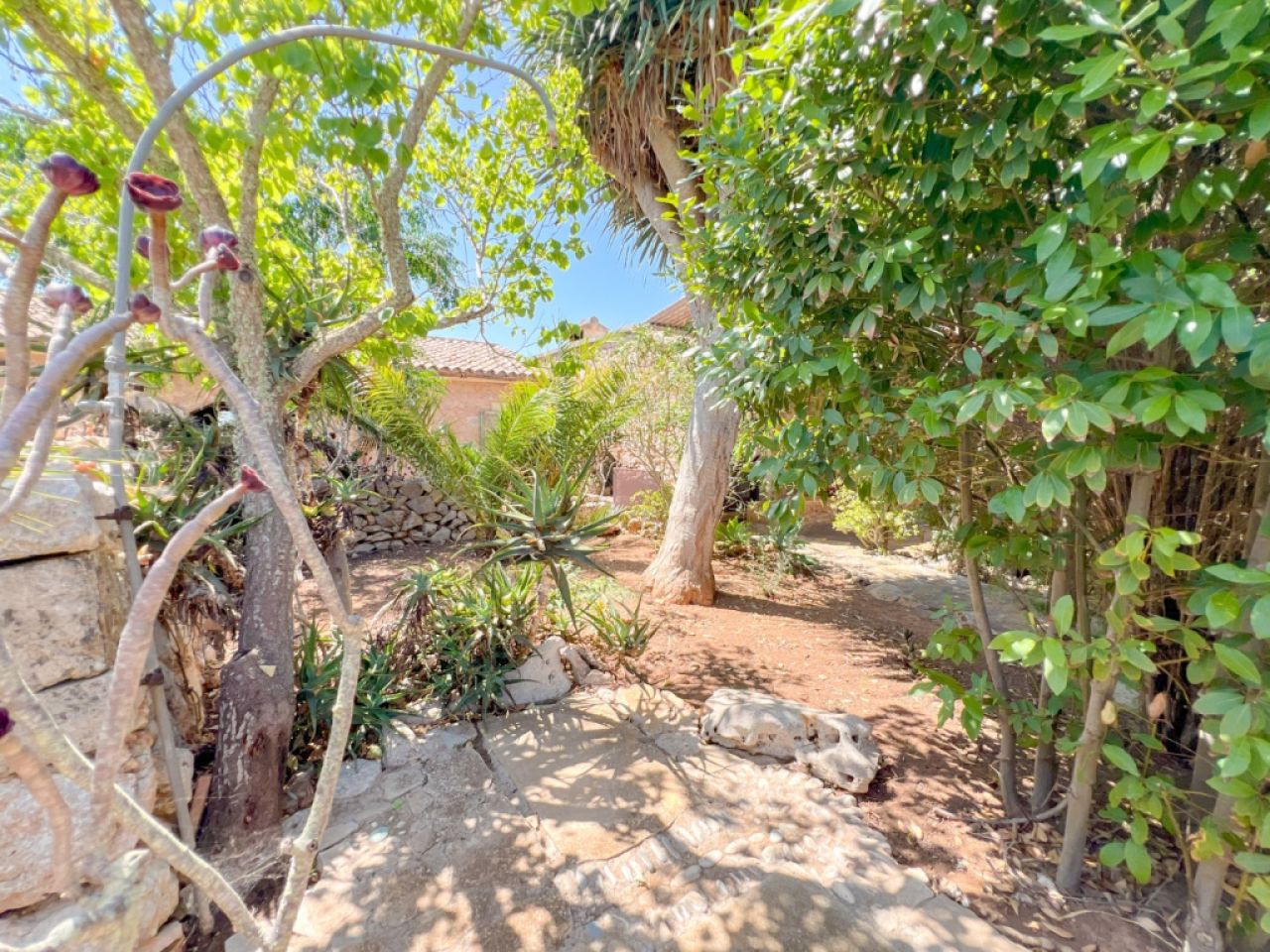 Rustikale Finca zum Verkauf in Santanyí. Nr. Baes-2027