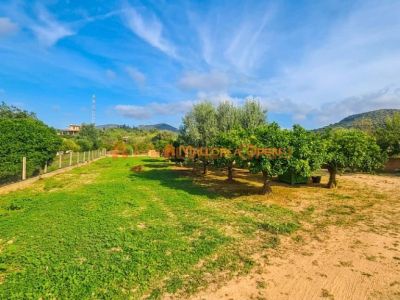 Rustikale Finca zur Miete in Sant Llorenç