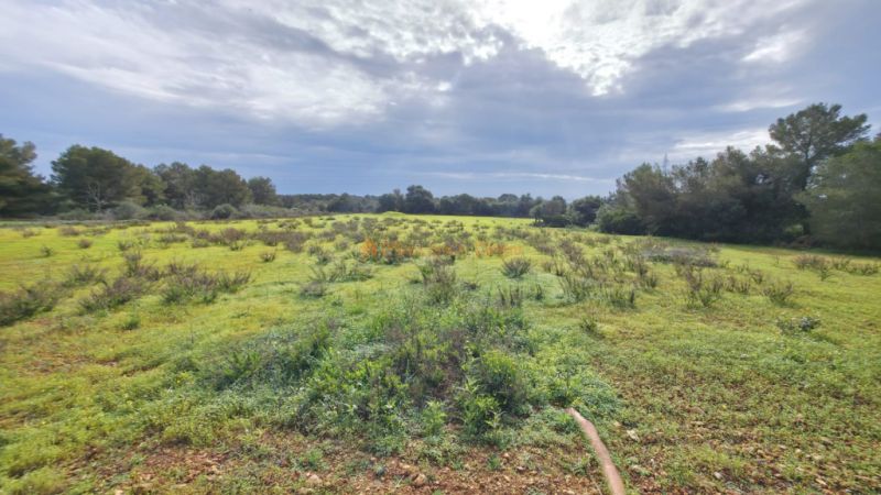 Rustikale Finca zur Miete zwischen Portocolom und S’Horta