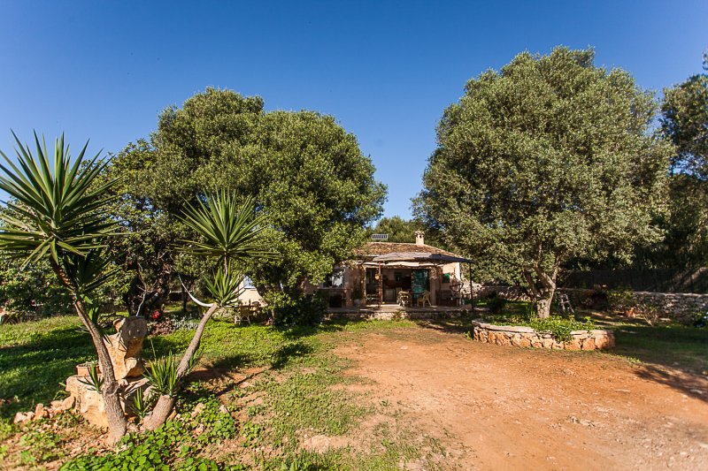 Rustikale, möblierte Casita auf dem Lande bei Alqueria Blanca-Santanyi -- F 66 LZ