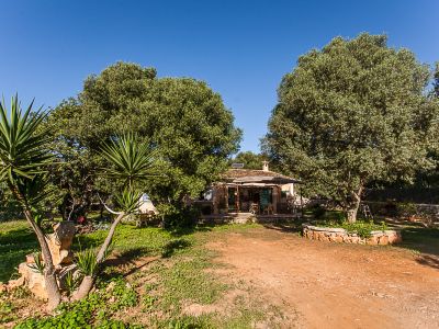 Rustikale, möblierte Casita auf dem Lande bei Alqueria Blanca-Santanyi -- F 66 LZ