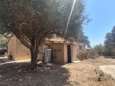 Casita rústica y amueblada en el campo cerca de Alqueria Blanca-Santanyi -- F 66 LZ