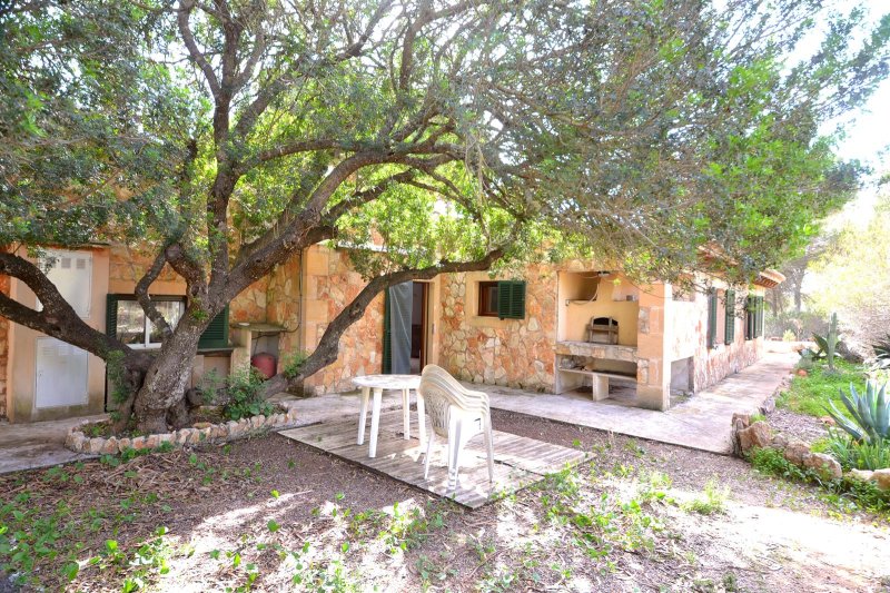 Rustic Finca Dream with Private Well near Llucmajor