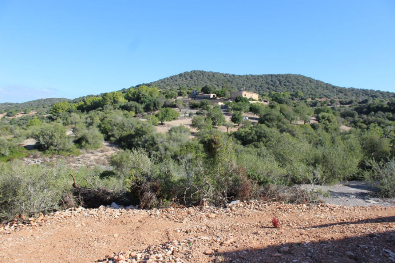 Rustikales Anwesen zu verkaufen in Son Macia