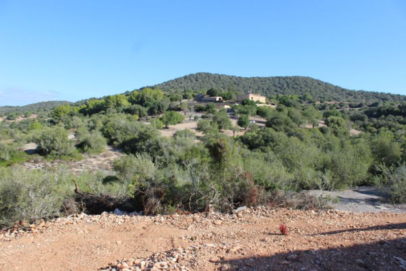 Rustikales Anwesen zu verkaufen in Son Macia