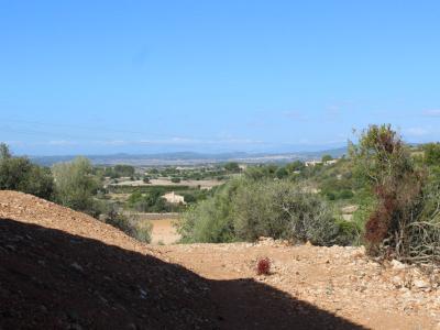 Rustikales Anwesen zu verkaufen in Son Macia