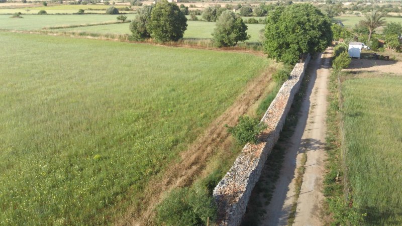 Rustikales Grundstück in Felanitx an Privatweg mit Netzstrom