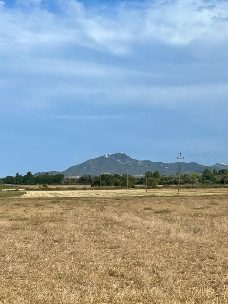 Rustikales Grundstück mit Basisprojekt und Genehmigung in Bearbeitung in Son Valls, Felanitx.