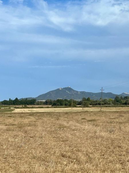 Rustikales Grundstück mit Basisprojekt und Genehmigung in Bearbeitung in Son Valls, Felanitx.