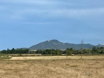 Rustikales Grundstück mit Basisprojekt und Genehmigung in Bearbeitung in Son Valls, Felanitx.