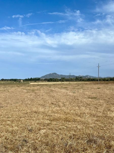 Rustikales Grundstück mit Basisprojekt und Genehmigung in Bearbeitung in Son Valls, Felanitx.