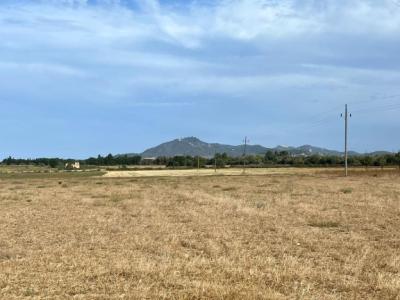 Rustikales Grundstück mit Basisprojekt und Genehmigung in Bearbeitung in Son Valls, Felanitx.