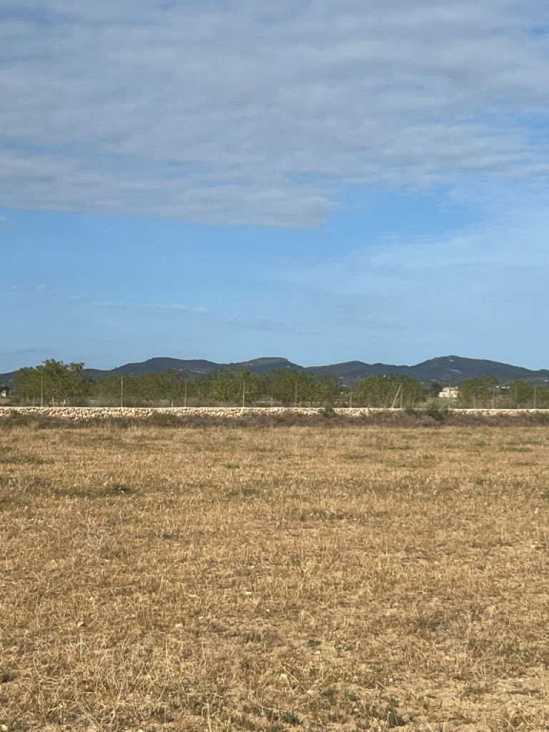 Rustikales Grundstück mit Basisprojekt und Genehmigung in Bearbeitung in Son Valls, Felanitx.